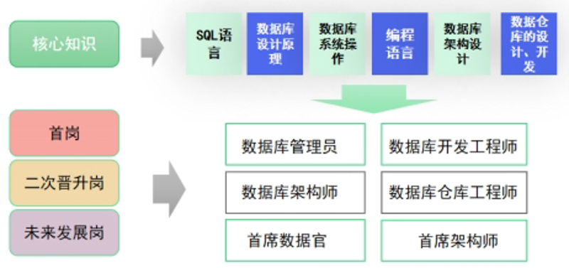 海南软件开发:行业发展的新引擎